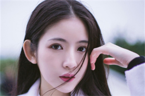 上海新茶网：An Evening Walk Experience That Touches the Pulse of the City